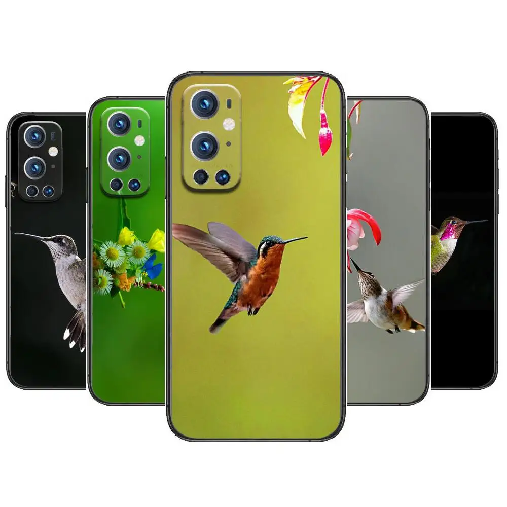 

pretty Hummingbird For OnePlus Nord N100 N10 5G 9 8 Pro 7 7Pro Case Phone Cover For OnePlus 7 Pro 1+7T 6T 5T 3T Case