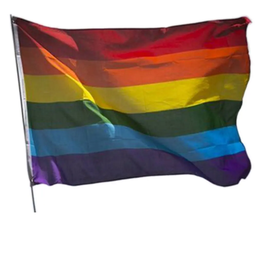 

Rainbow Flag Colorful Rainbow Peace Flags Banner Lesbian Gay Parade Flags Home Decoration