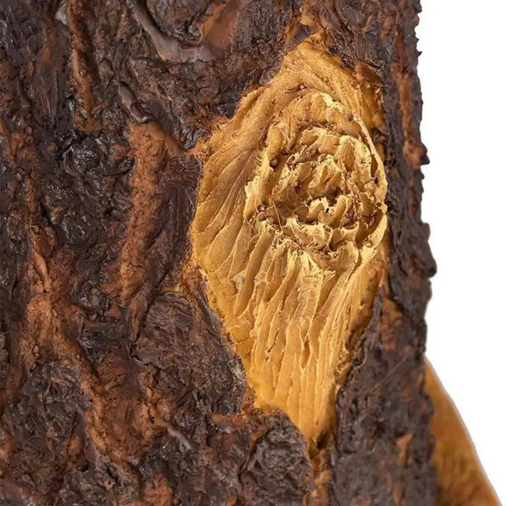 Открытый поднос для кормушки птиц