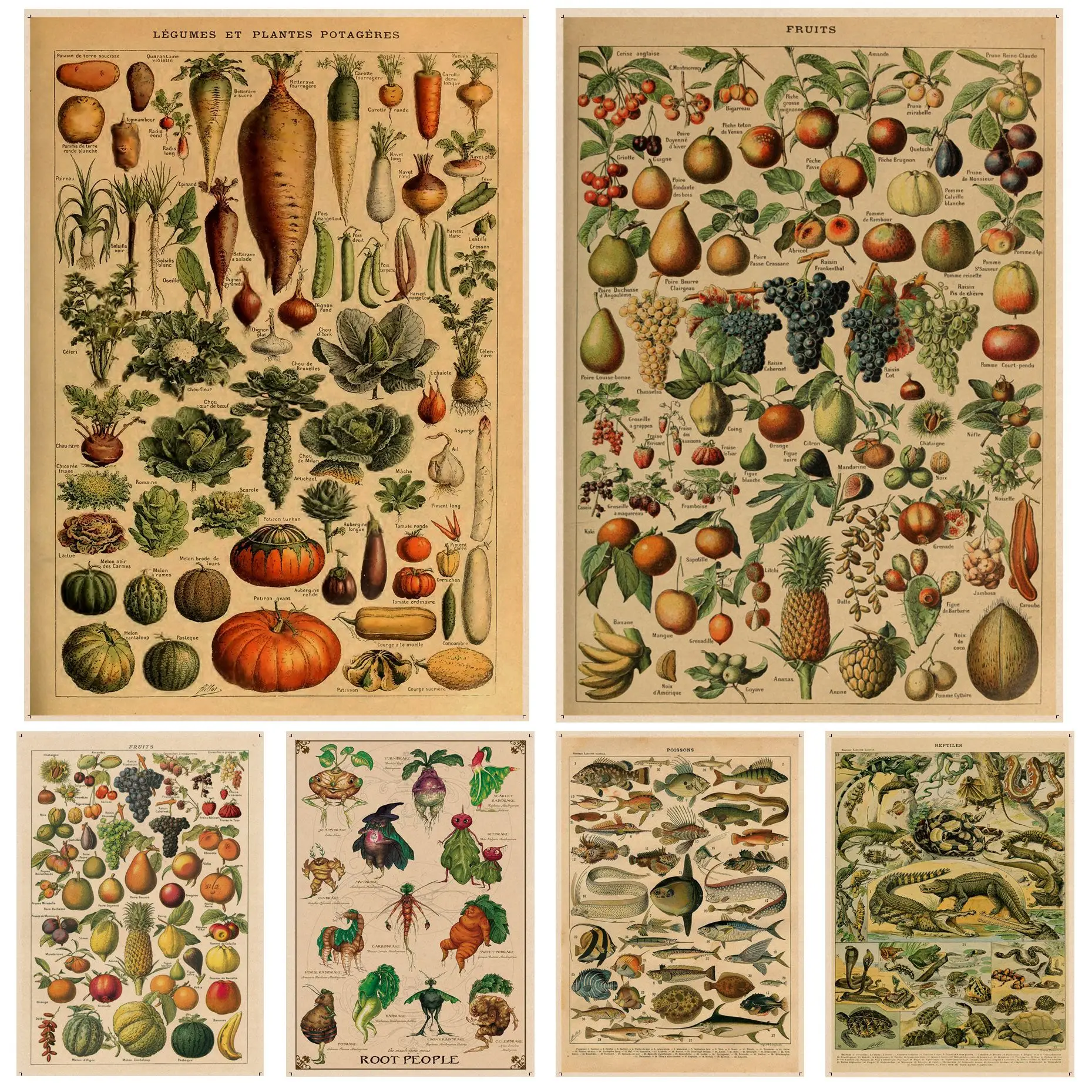 

Vintage Vegetable Fruit Mushroom Classic Movie Posters Vintage Room Home Bar Cafe Decor Kawaii room decor