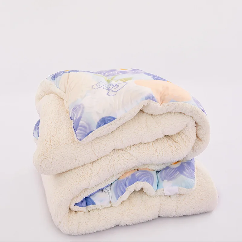 Winter Quilt With Thick And Warm Lamb Wool Cotton Core Dormitory Single Person Autumn Air Blanket