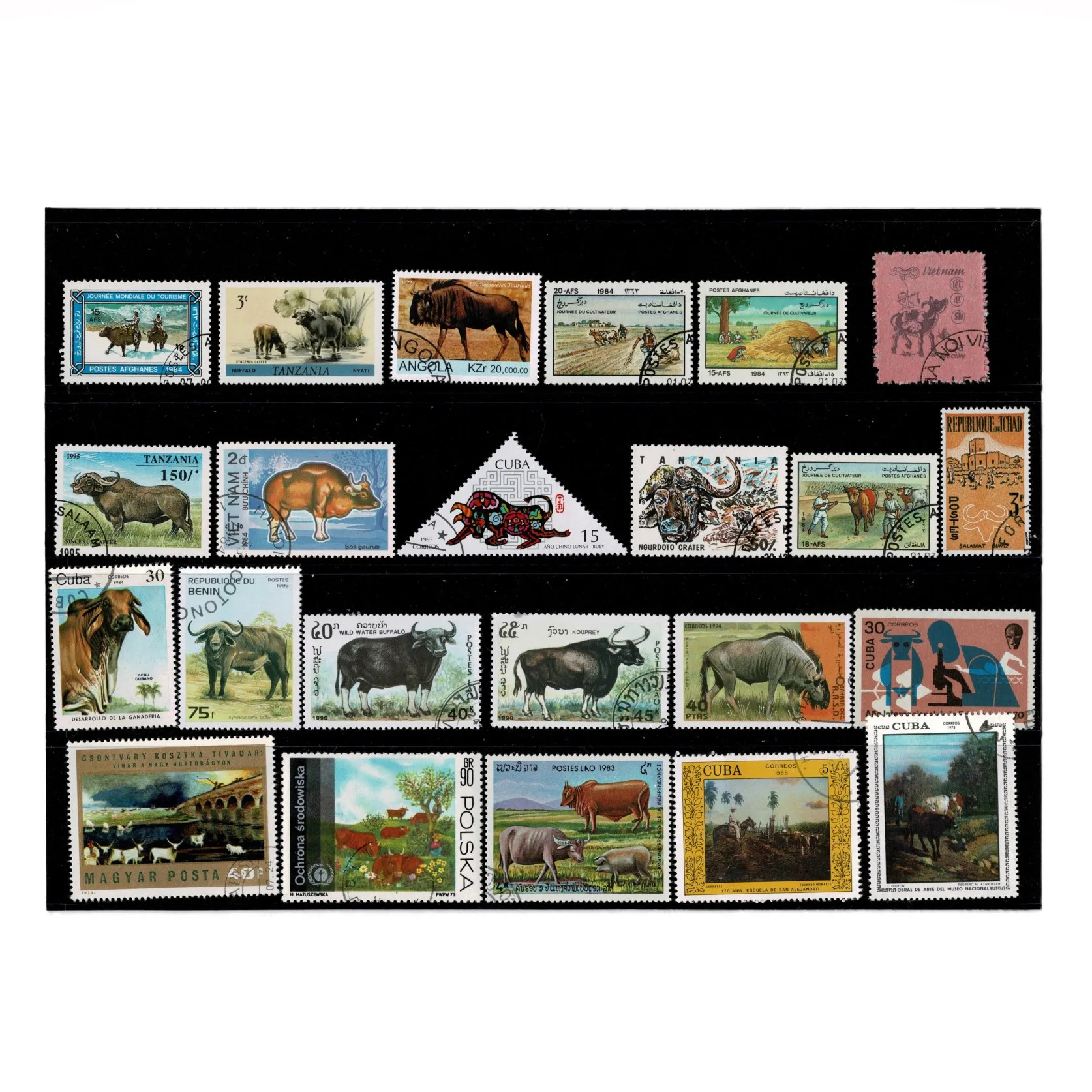 50 шт. топовые марки OX от Word без повторов настоящий оригинал используется с