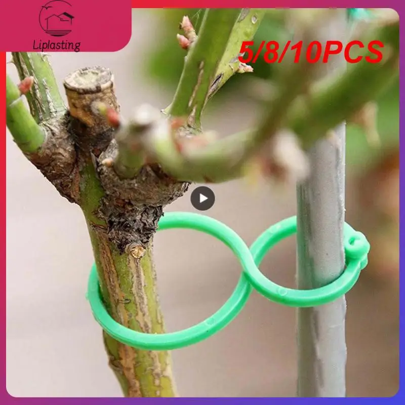 

5/8/10PCS Fixture Vine Plant Wall Climbing Vine Clips Plastic Fixed Buckle Hook Plant Climbing Wall Self-adhesive 2023 New
