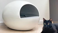 automatic cat litter toilet smart induction sense to shovel cleaning up excrement machine feces lavatory for cats