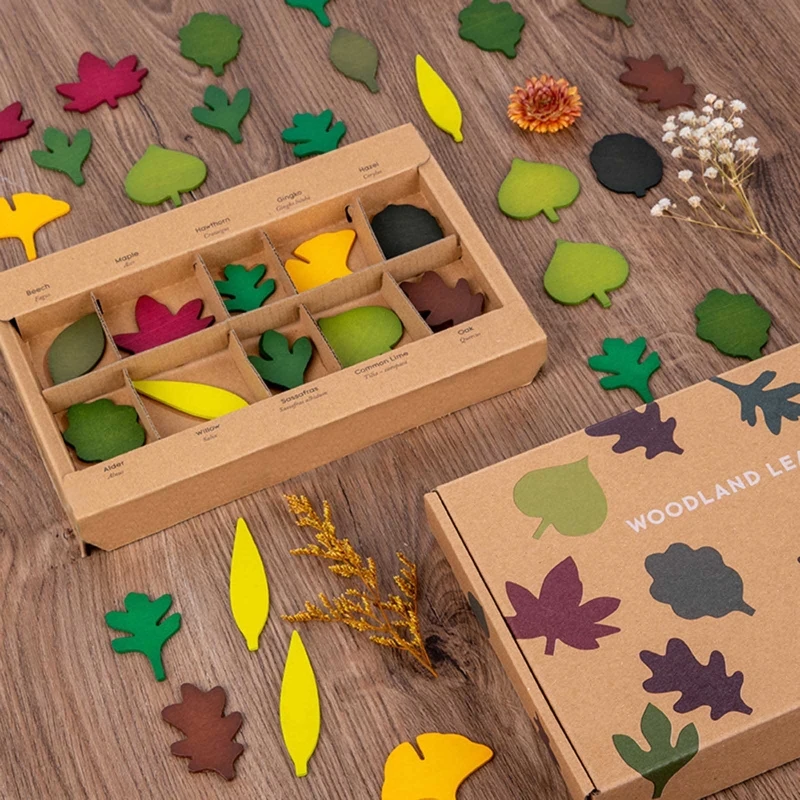

Montessori Leaf Counting Toy Wooden Leaves Sorting Box 40Pcs Shape Matching Sensory Developmental Preschool Activity Dropship