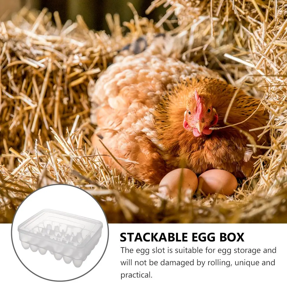 

Plastic Fridge Egg Holder Household Egg Tray 34 Grid Egg Storage Box Holder refrigerator storage box kitchen egg storage box