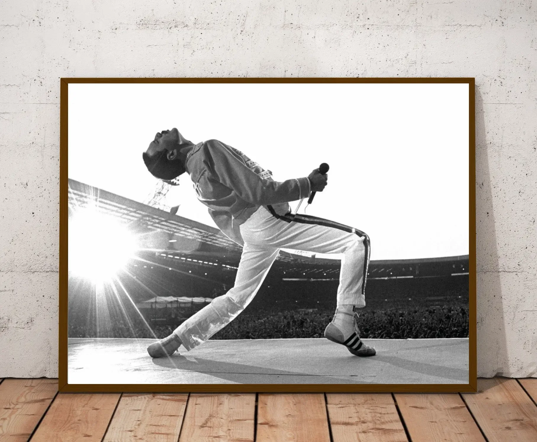 

Винтажный постер Freddie Mercury на холсте