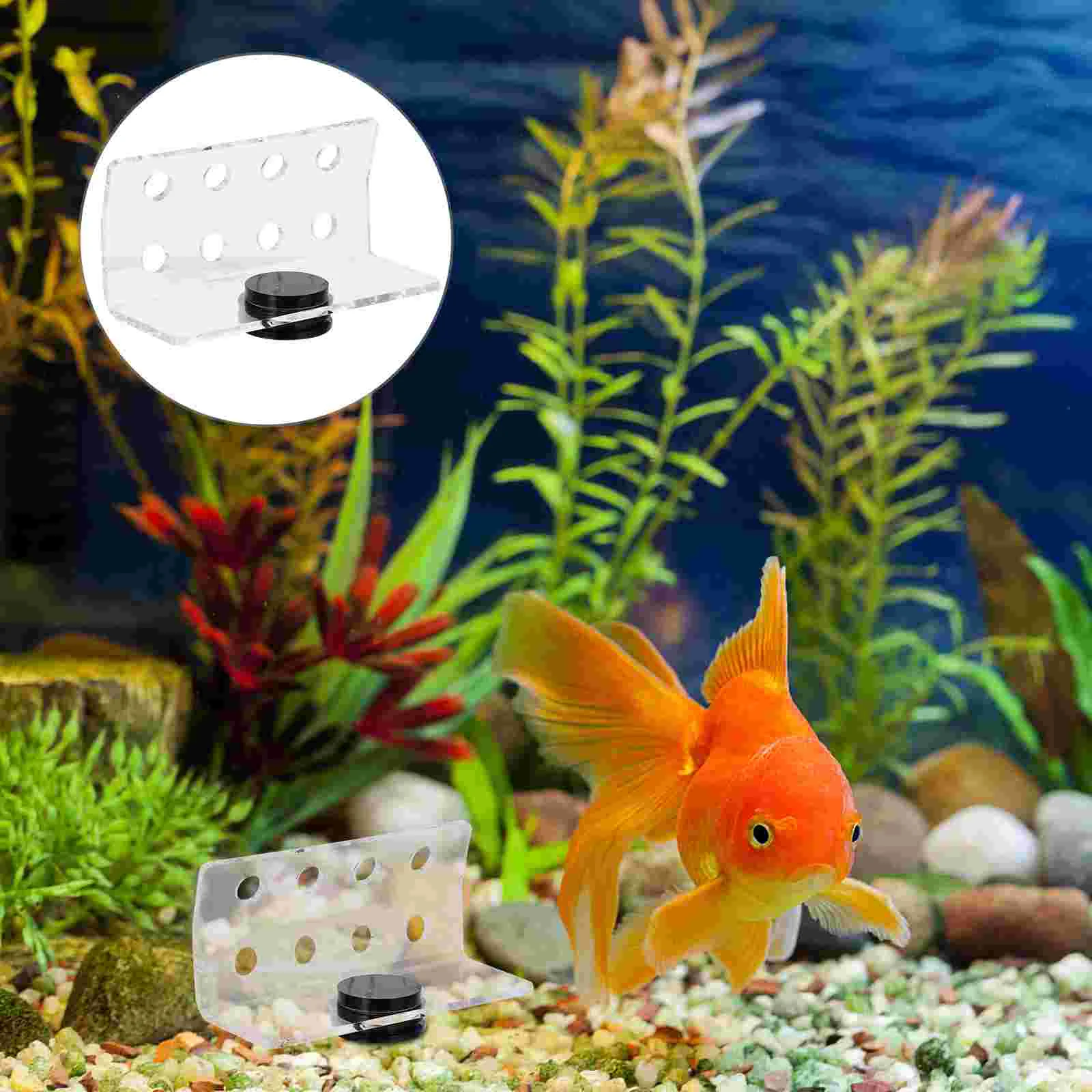 

Coral Holder Rack Aquarium Coral Rack Magnetic Coral Rack Splinter 8 Hole Coral Support Strong Magnet Marine Reef Rack