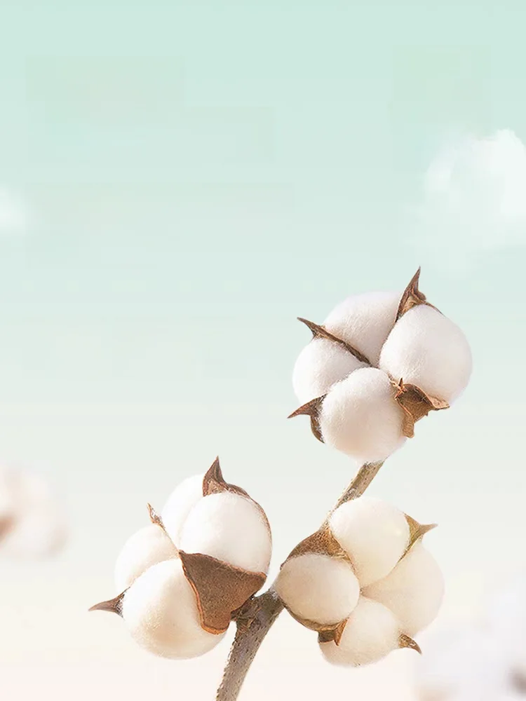 Oxygen Time Pajamas Men's Summer Cotton round Neck Short sleeve Trousers 2024 New Loose Simple Home Wear Set