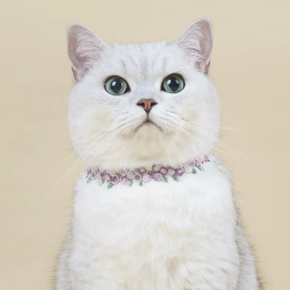 

Износостойкое изысканное регулируемое ожерелье для безопасности щенка котенка модная Милая повязка для улицы