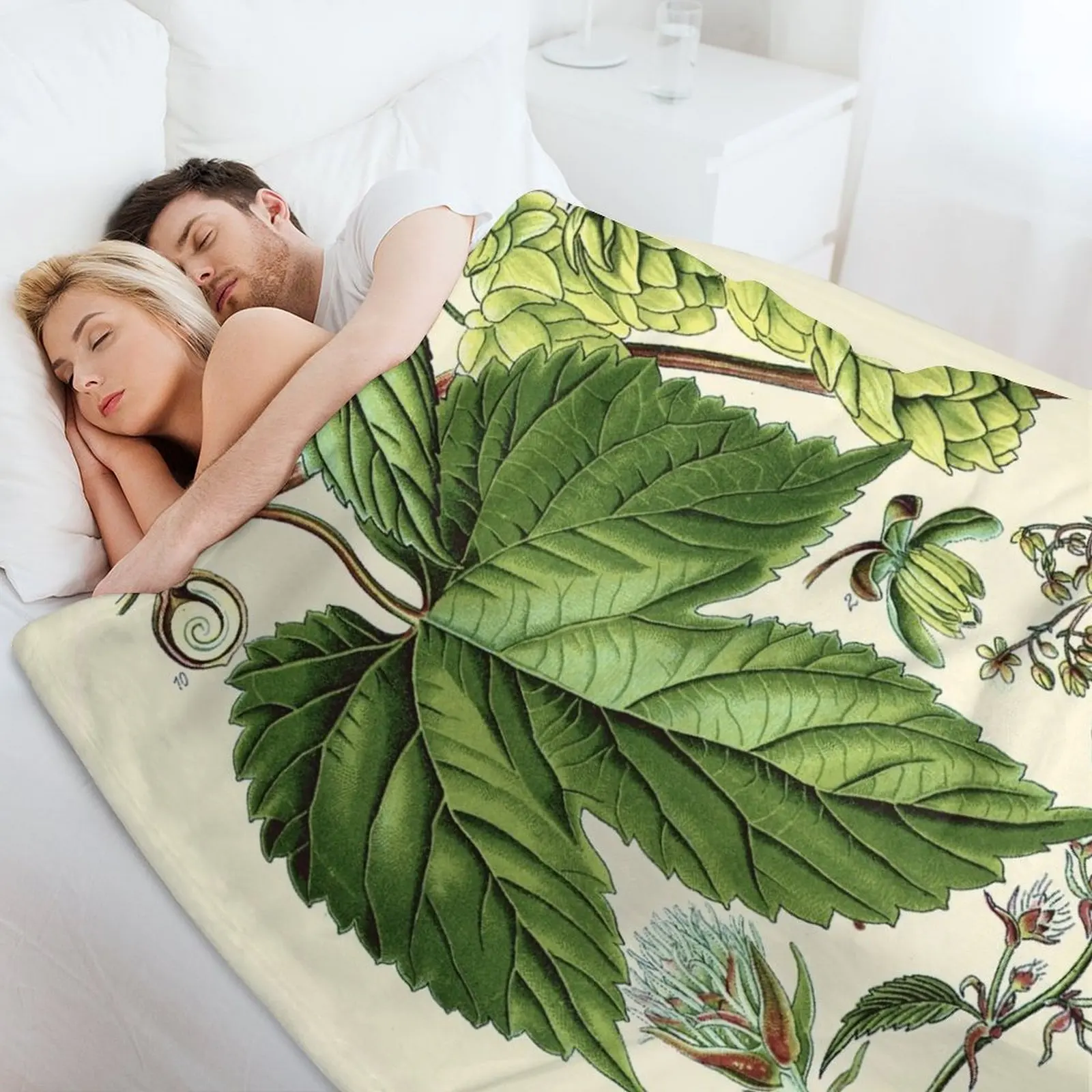 Humulus lupulus (обычный хоп или хмель)-винтажное растительное иллюстрационное