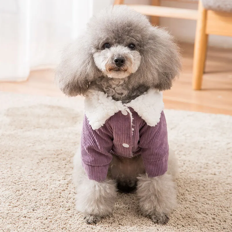 

BF236 dog clothes sweaters for pets dog clothes winter