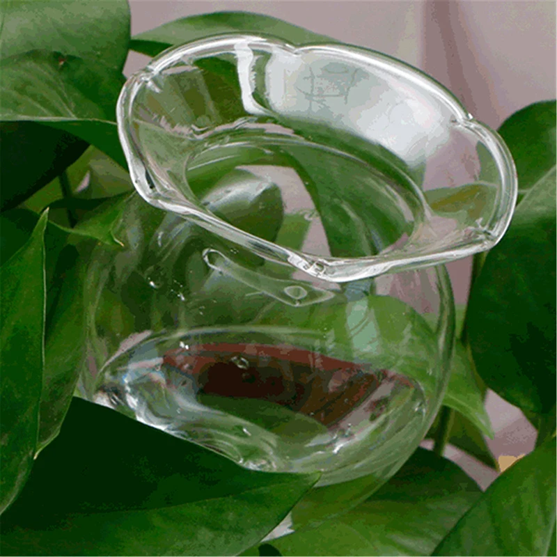 

Heart-shaped Glass Plant Flowers Water Feeder Automatic Self Watering Devices