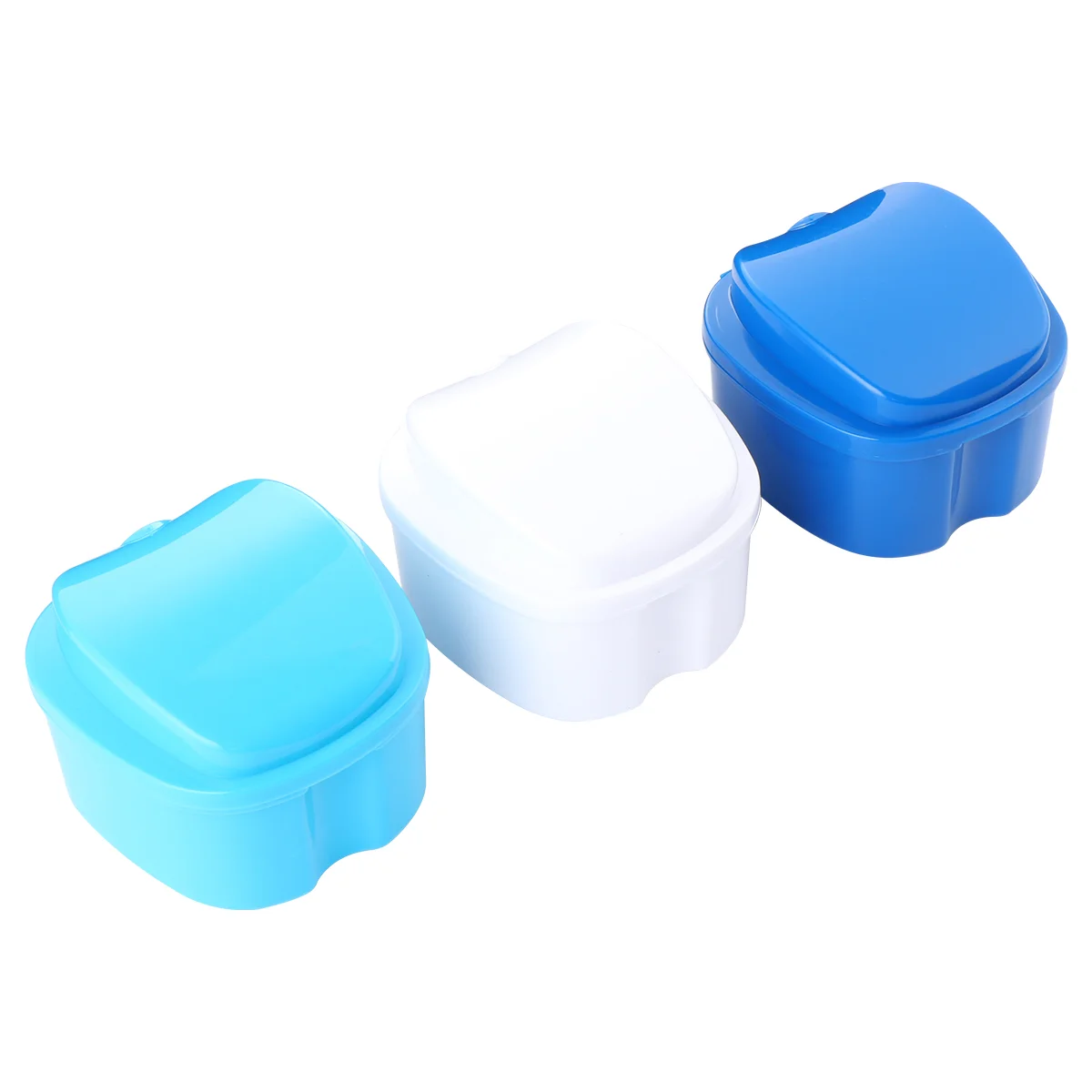 

3 Pcs Denture Box Holder Container Plastic Hinges Storage Case Filter Screen