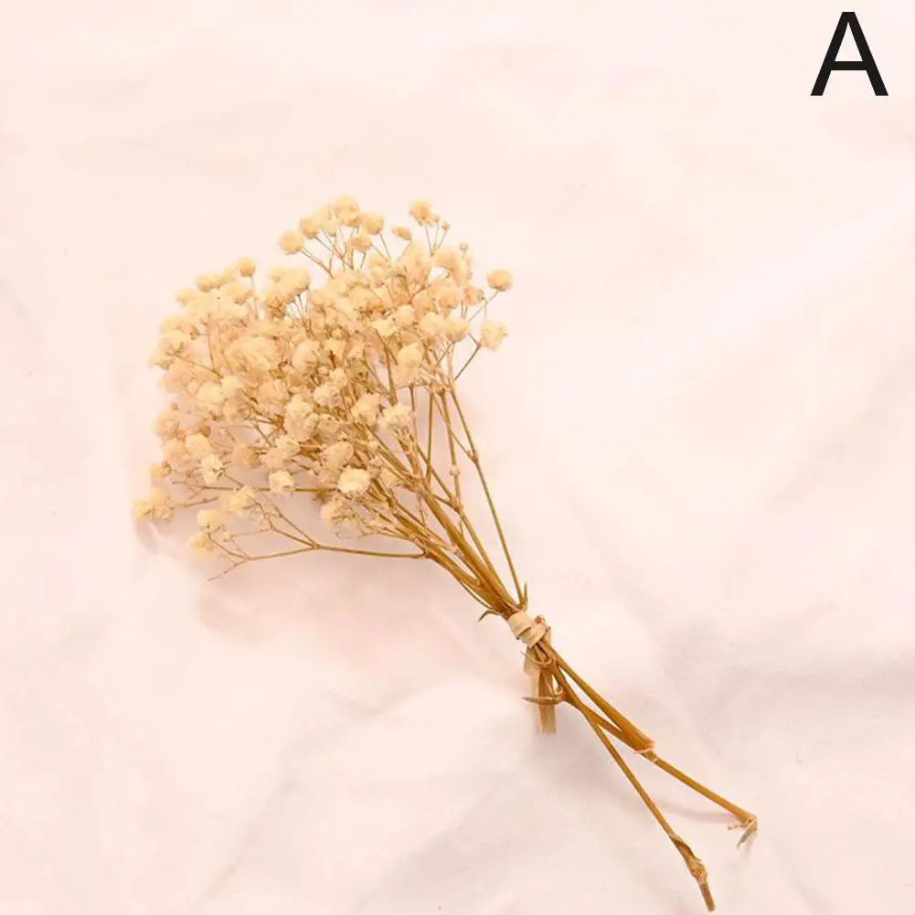 

Сухой букет Babysbreath для декора