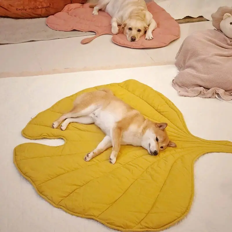 

Four Seasons Universal Leaf cat mat Sleeping Home pet sleeping mat Dog floor mat Bite resistant cat carrier mat