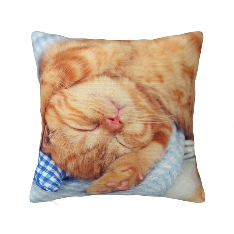 

Cute Sleeping Cat Fashion Pillowcase Soft Polyester Cushion Cover Decor 3D-printed Pet Children Kids Pillow Case Cover 40*40cm