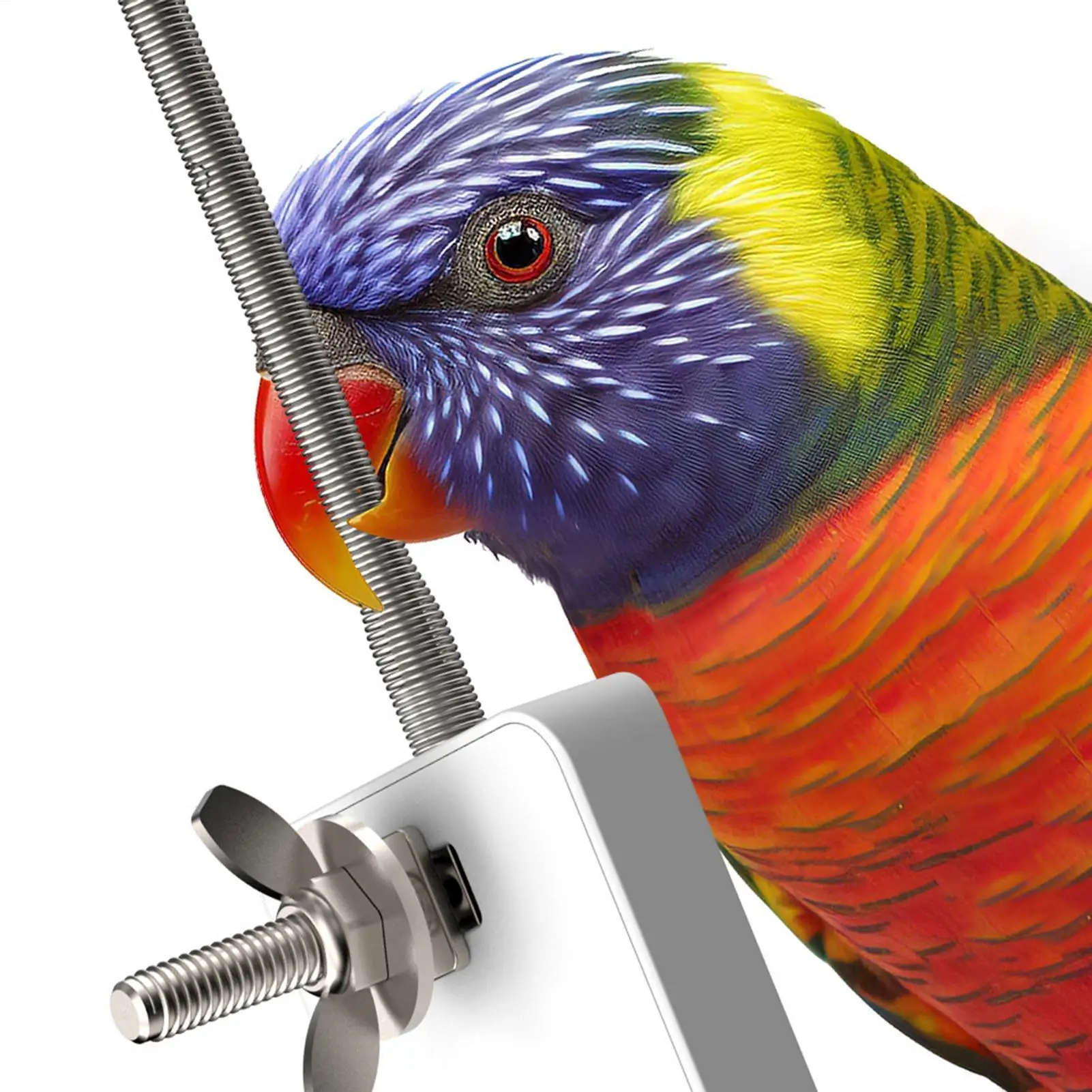 Фото USB-обогреватель для клеток для птиц, 5В, безопасный, с защитой от укусов, панель для обогрева домашних животных, обогреватель для попугаев, для сада и дома, для арах, попугаев, воробьев №5