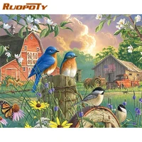 ruopoty outskirt birds animal painting by numbers for adults 40x50cm frame hand painted diy gift home decoration wall artcraft