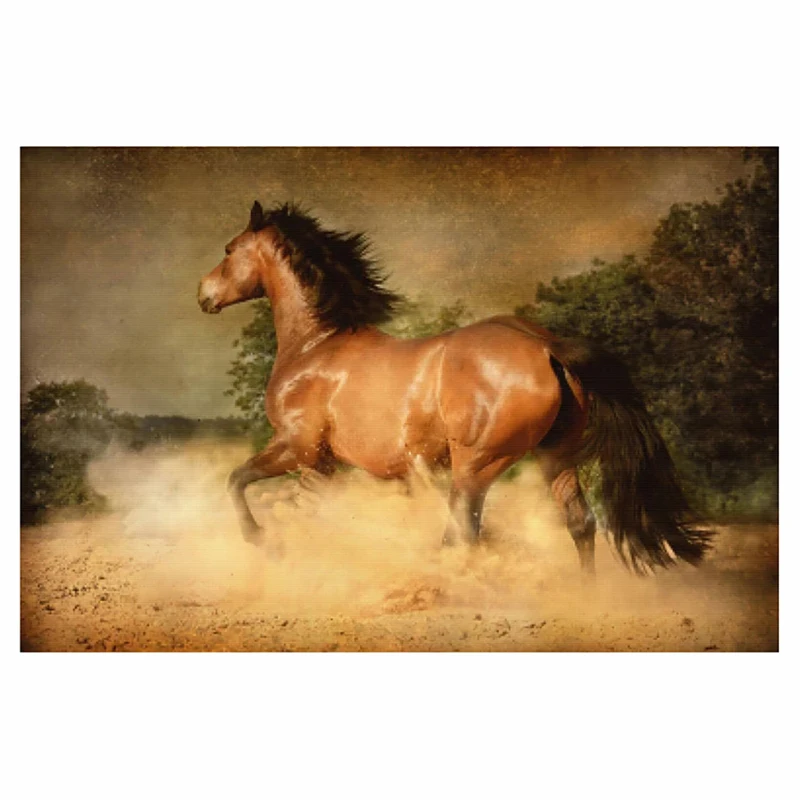 

Искусственная алмазная живопись, превращается в лошадь с приподнятыми толстовками, набор для сращивания, полная Алмазная вышивка, мозаична...