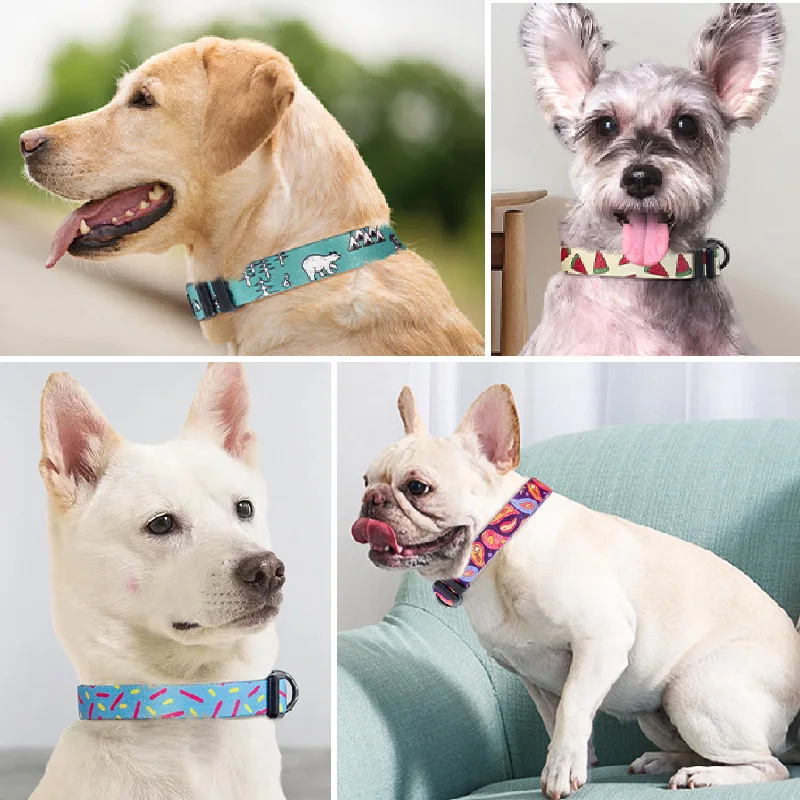 

1pcs Nylon Floral Dog Collar With Padded Colorful Detachable Pet Supplies New Personalized Dog Reflective Strip Foreign Trade