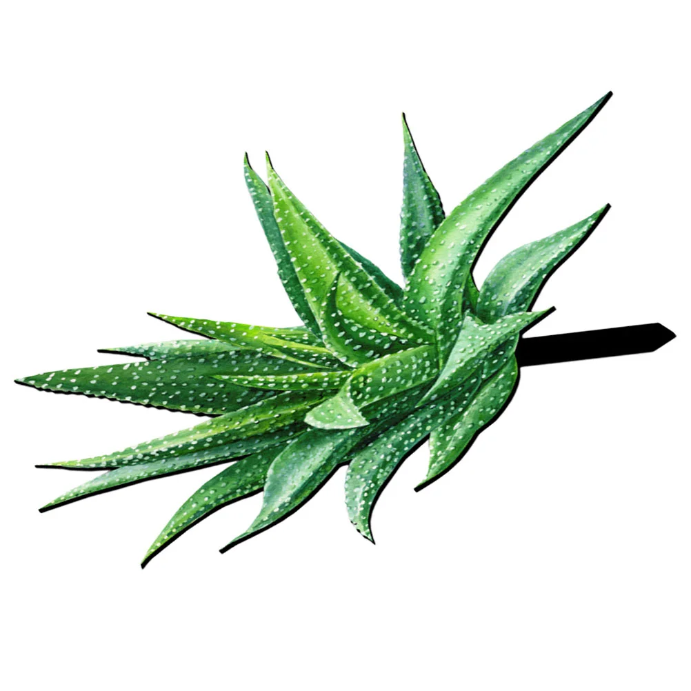 

Acrylic Yard Aloe Yard Garden Stake Garden Sign Garden Decorative Stake