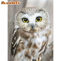 ruopoty paint by number owl animal handpainted diy gift kit drawing on canvas coloring by number scenery wall art home decor