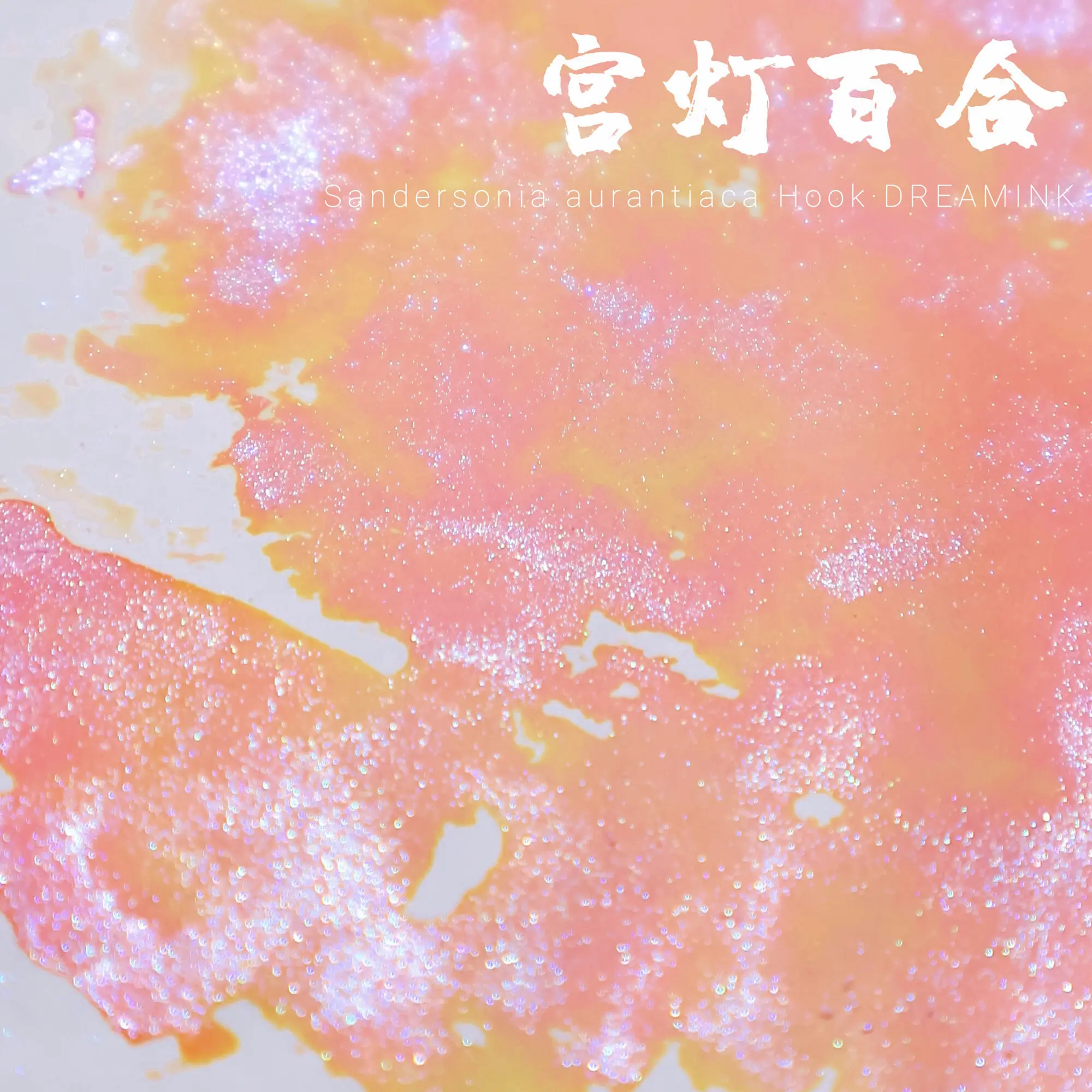 DREAMINK TSandersonia Aurantiaca многослойные градиентные золотые порошковые мерцающие