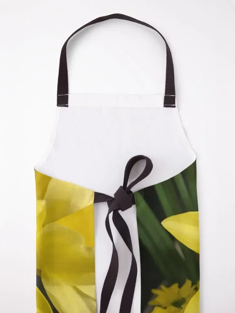 Фартук daffs Barista Kitchen Kawaii Аксессуары Мужской фартук