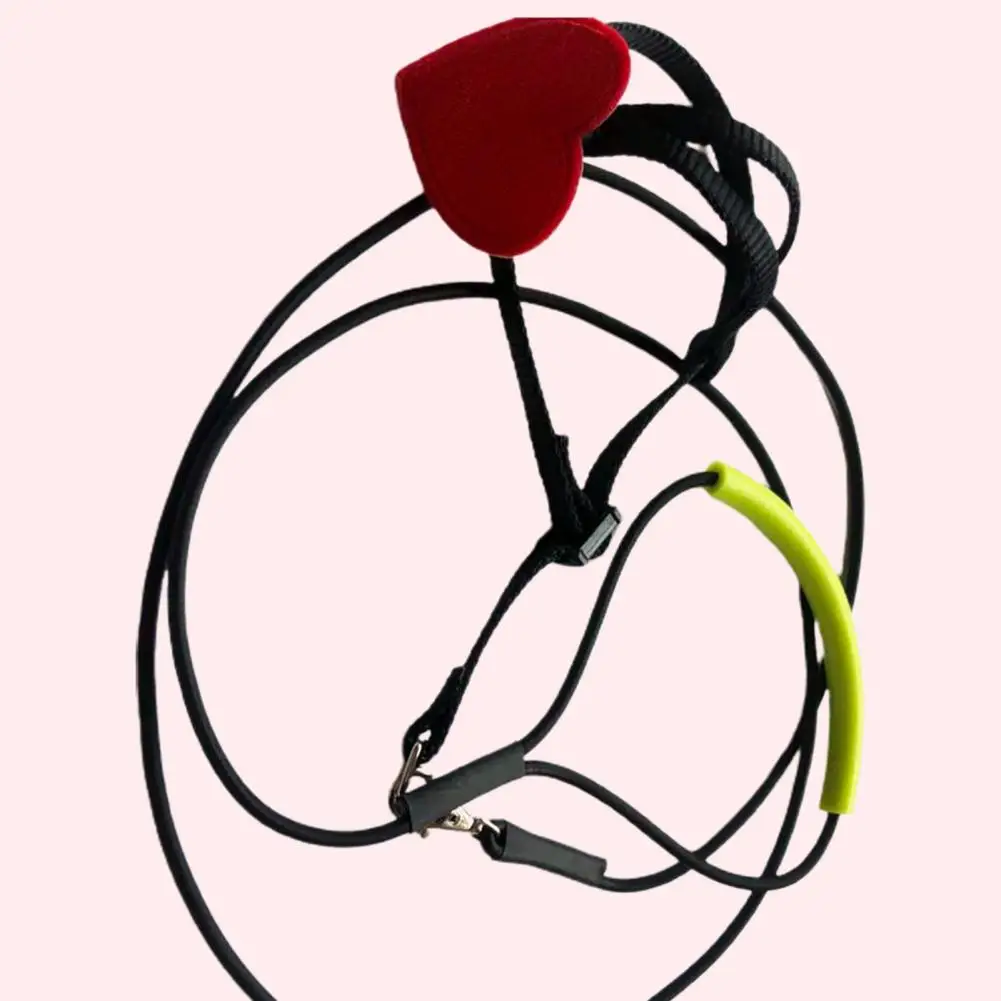 

Bird Traction Rope Multipurpose Red Color Easy-wearing Pet Bird Flying Training Traction Leash Parrot Leash for Indoor