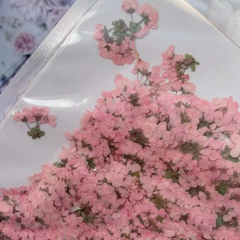 

Прессованные цветы NYAConfetti 2-3 см, 12 шт.