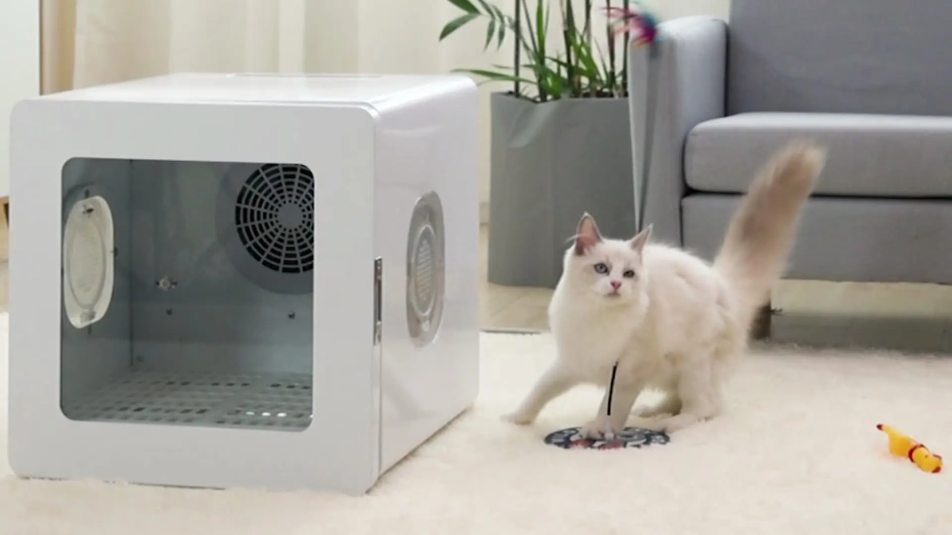 

Sorumpor Pet Hair Dryer Box, Pet Grooming room for Cats and Small Dog Teddy, Corgi, Pomeranian