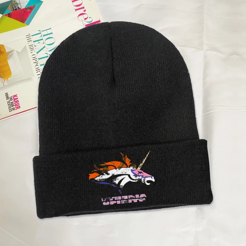 

She Ra and The Princesses of Power Loo Kee Animation Skullies Beanies Caps Spirit of Swift Wind Knitted Bonnet Hats Unisex Ski
