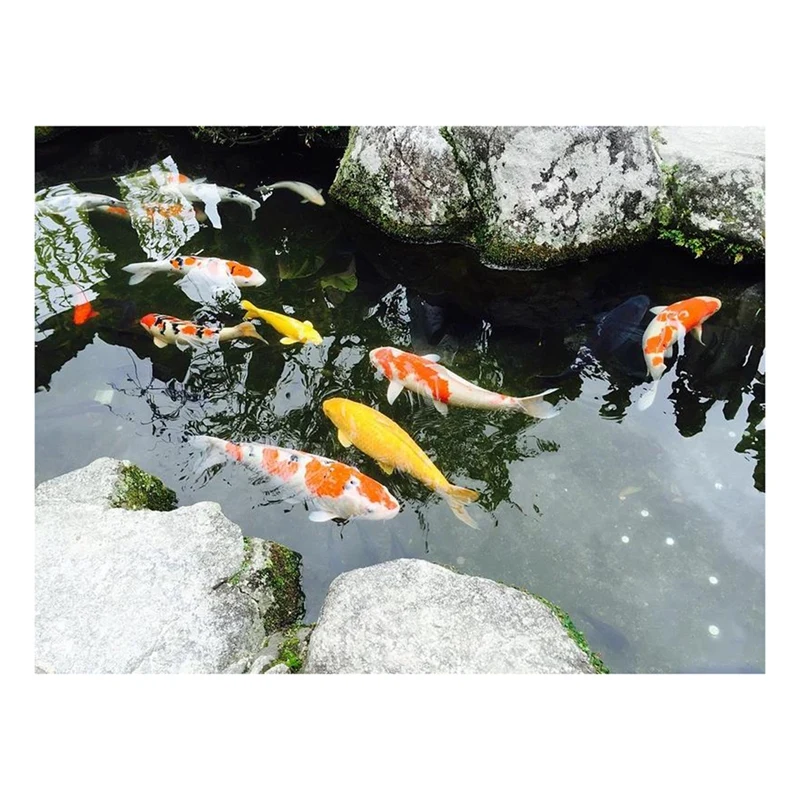 

Алмазная живопись «сделай сам», полностью Алмазная круглая вышивка крестиком, вышивка, украшение для дома