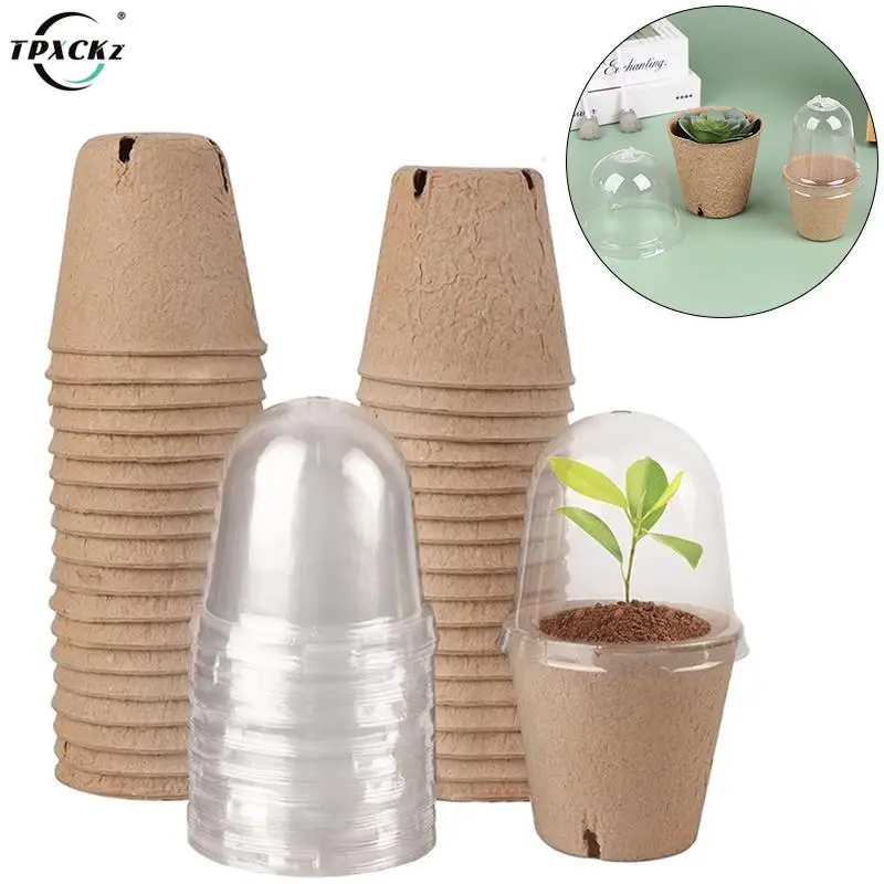 

5Pcs/Set Plant Nursery Pots With Humidity Dome Seed Starter Pots Biodegradable Peat Pots Seedlings Planting Pots