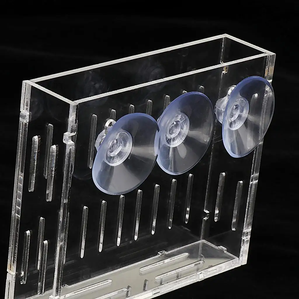 Акриловые семена растений подставка для чашки Glossostigma Hemianthus кореtrichoides