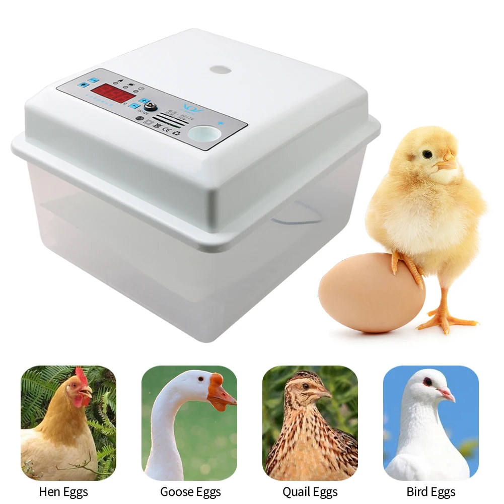 

20 Eggs Household Incubator Dual Power Automatic Temperature Control Incubator Tools Small Plastic Bionic Egg Incubator