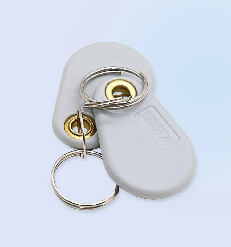 Фото 50/100 шт. ID 125 кГц EM4305 T5577 записываемые RFID-метки для ключей кольцевые жетоны брелоки перезаписываемый серый брелок для карт копия клон дубликат №5