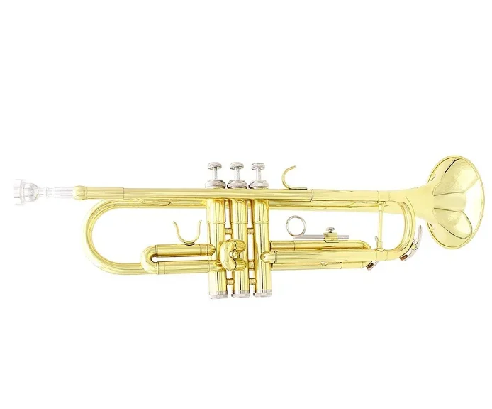 Латунная пенопластовая труба трехцветная плоская для обучения игре Западный