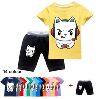 boys clothes best cat pc gamer t shirt summer kids baby shorts boy outfit sport suit children clothing set 2 16 years girls sets