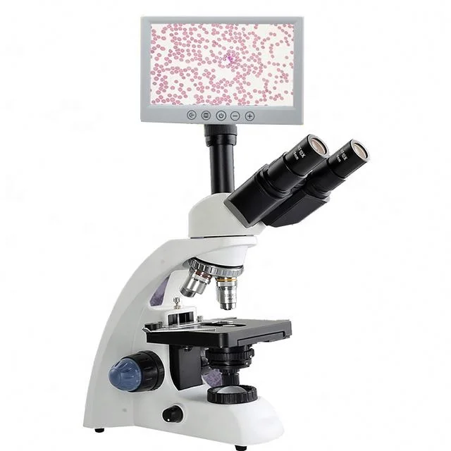 

Cheap Trinocular Biological Microscope