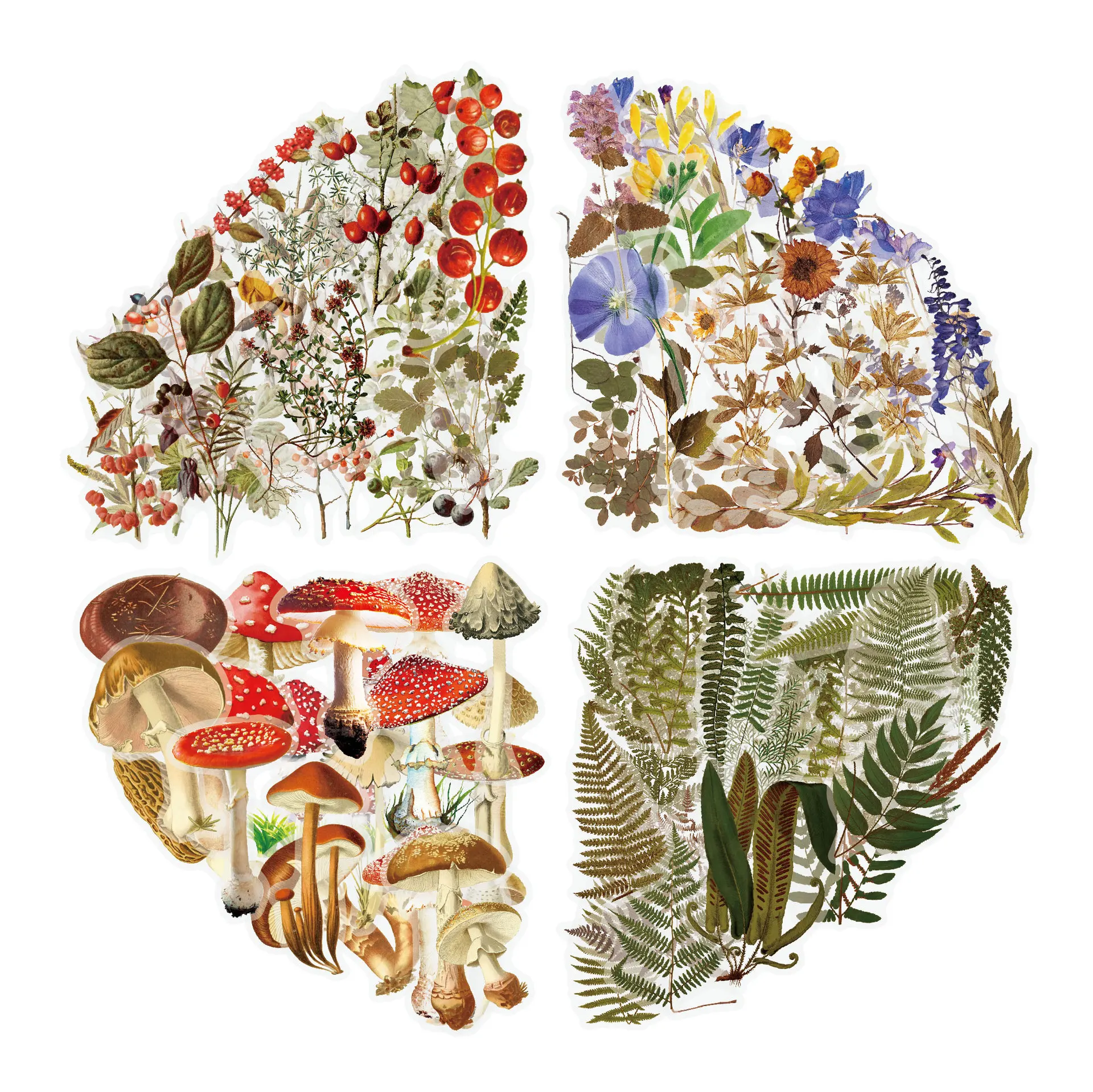 

40pcs Mushroom Scrapbooking Stickers DIY Decoration Paper Butterfly Stickers for Scrapbook Decoration DIY Crafts Laptops Planner