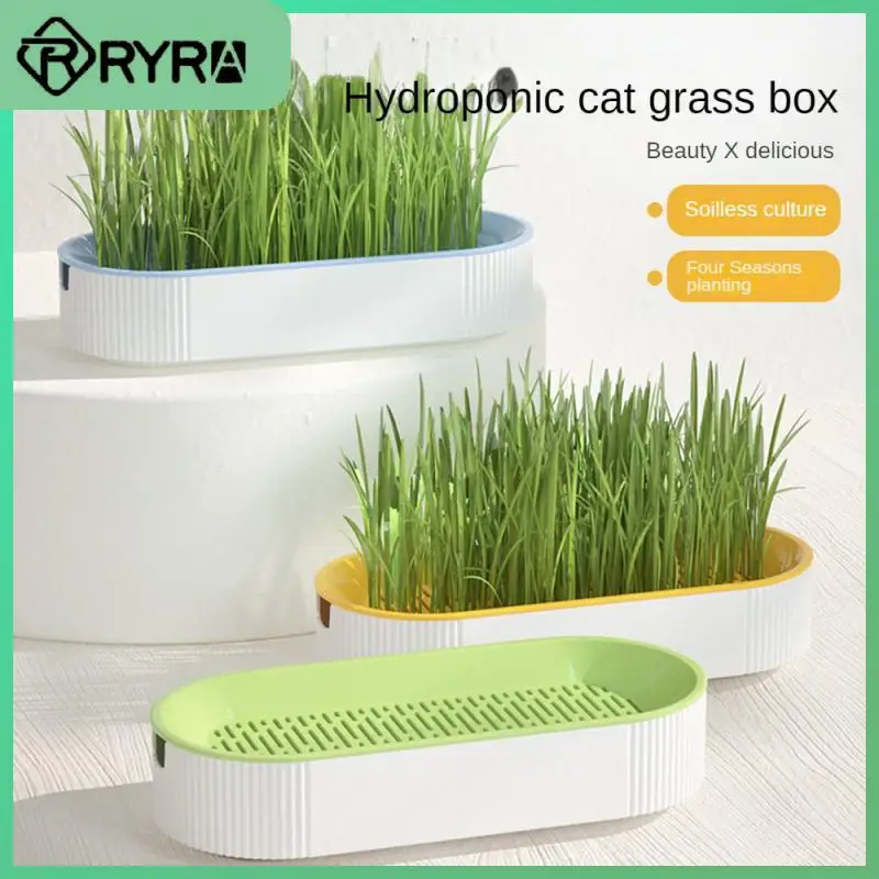 

Усиление функции пищеварения кошачьей водной кошачьей травы коробка для добавления витаминов и сырых волокон товары для домашних животных кошачья мята