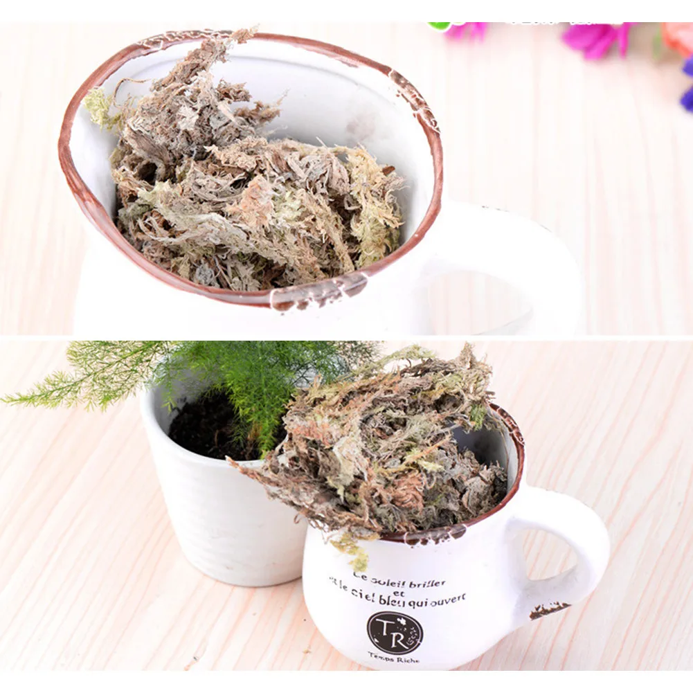 12L Sphagnum Moss Garden Supplies Moisturizing Nutrition Organic Fertilizer For Phalaenopsis Orchid |