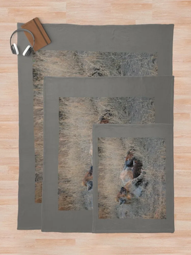 Hyкаты восход солнца одеяло милые искусственные тяжелые клетчатые одеяла