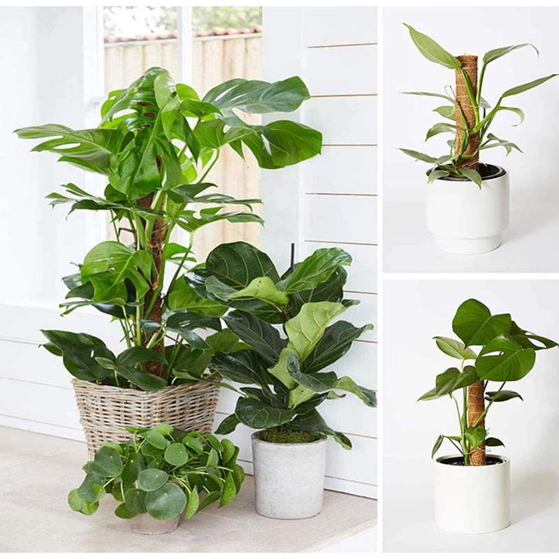 

1 шт., монопод для подъема растений