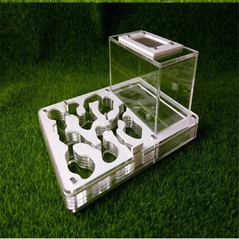 

Прозрачный большой Т-образный муравьиный дом, клетка для насекомых, Муравьиное гнездо, фермы, акриловый дисплей, трапециевидная коробка, де...