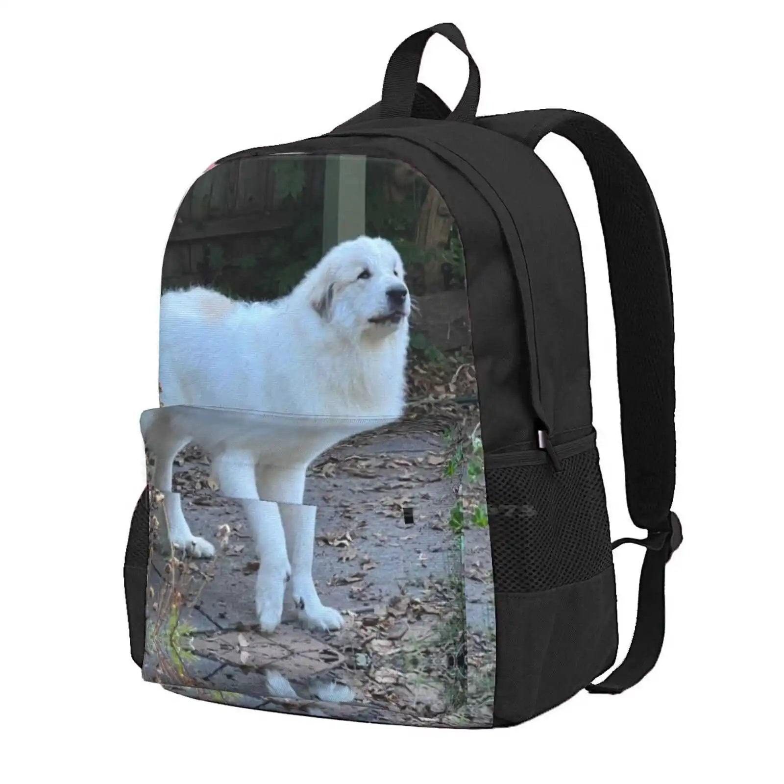 

Рюкзак «правая лапа вперед» для школы, рюкзаки для девочек-подростков, сумки для путешествий с животными, НЗ, тихоокеанские собаки, питомцы для него, ее, Shonart19