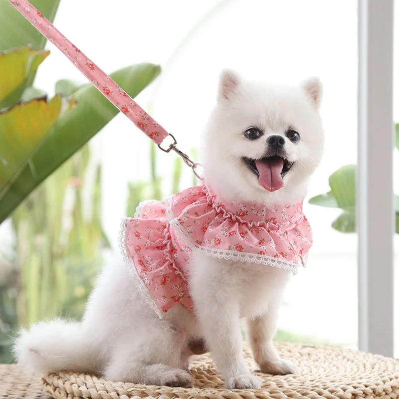 

Dog Cat Harness Leash Set Adjustable Lace Floral Printed Pet Harness Vest Cute Dog Dress Pubby Mesh Harness Cat Walking Lead
