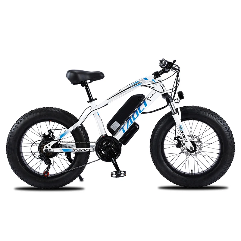 20inch Fat Tire 21 Variable Speed Electric Bicycle Beach and Snow Big Wheel Easy Remove Lithium Battery Electric Mountain Bike